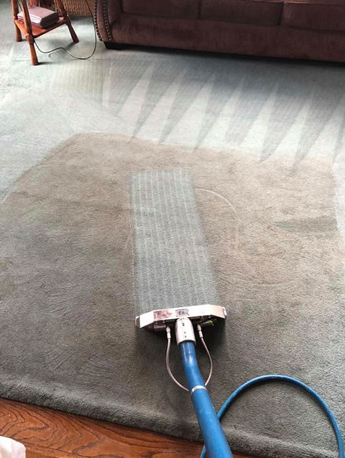 AllBrite Carpet Cleaning - South Jersey